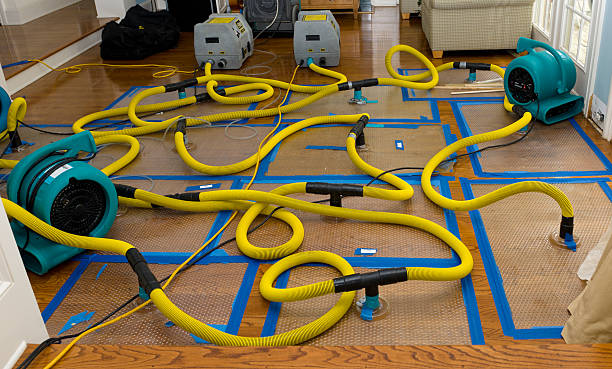 Professional Sewage Cleanup technician working in Clinton, OH