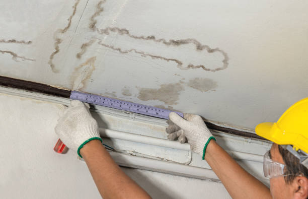Affordable Water Damage Repair solutions in Clinton, OH